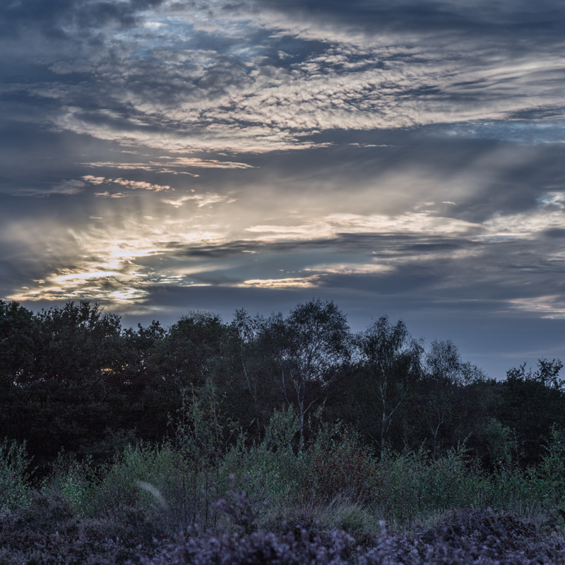 Crepuscular