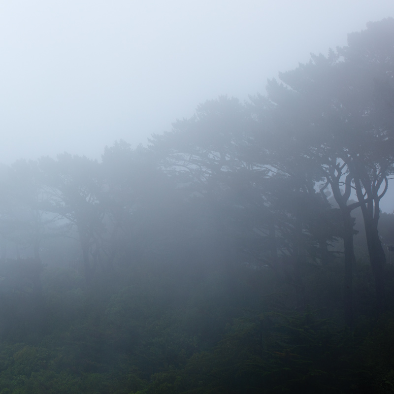 Dreich