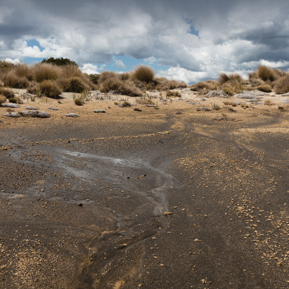 petrichor