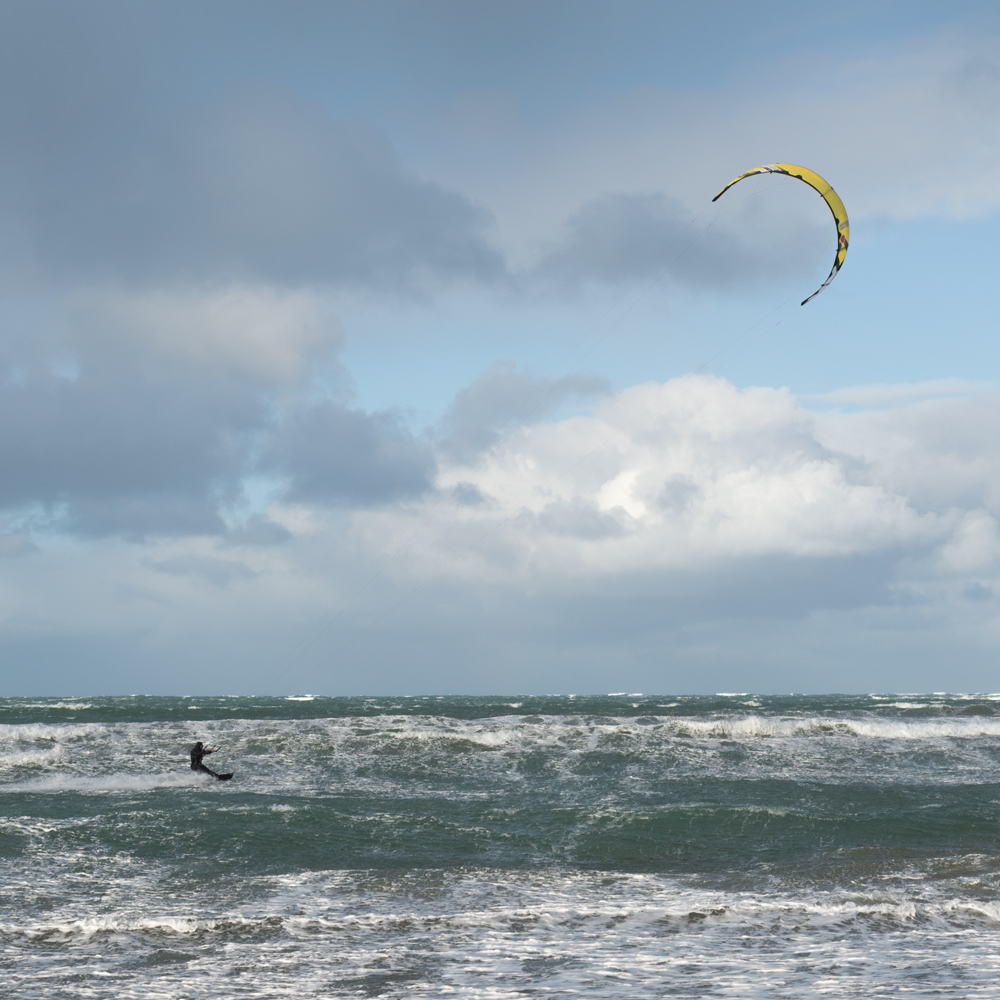 roaring forties