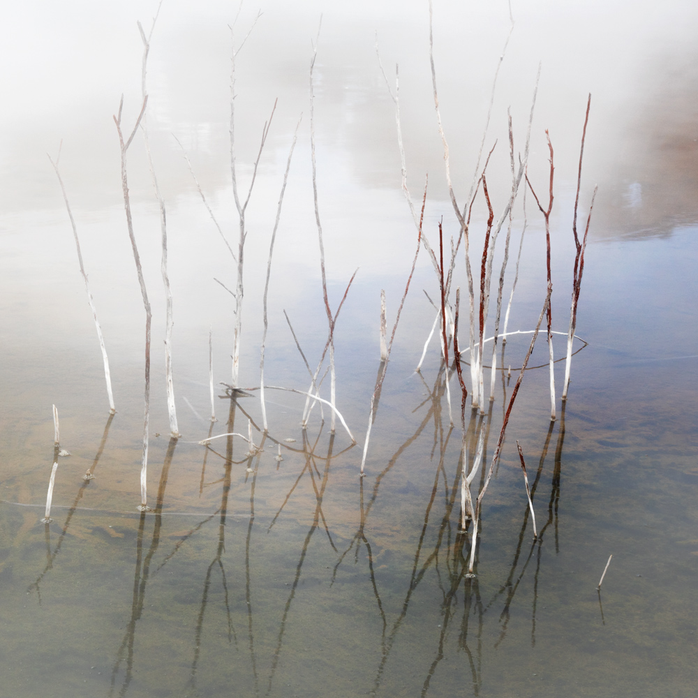 specular