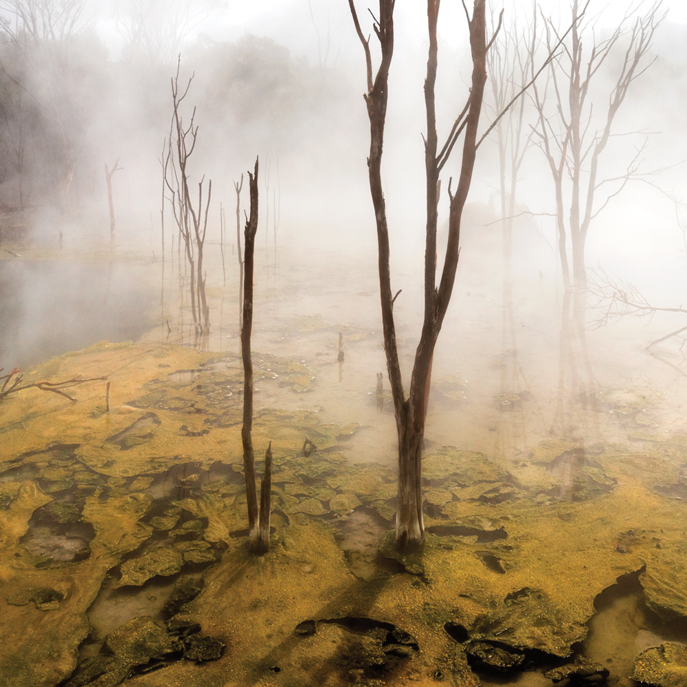 steam fog
